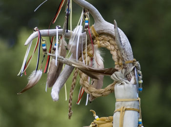 SDAIHC - Pow Wow
